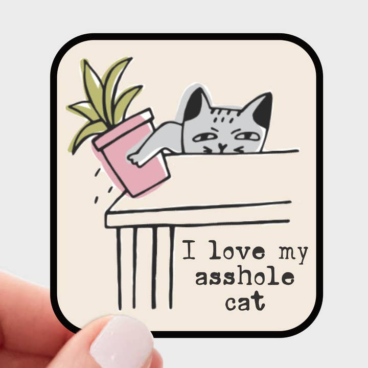 I Love My Ahole Cat