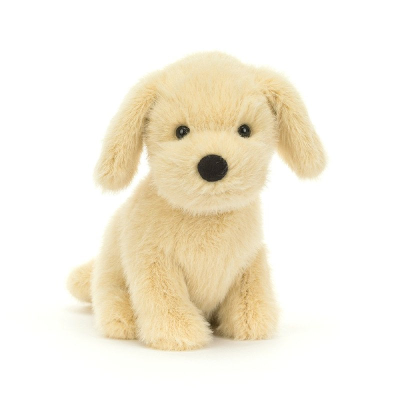 Golden Puppy