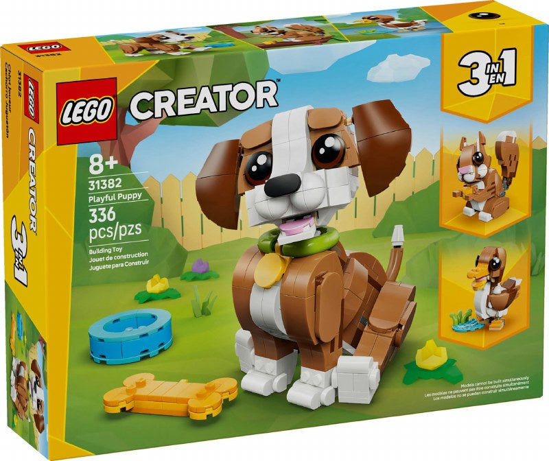 Cute Animals: Playful Puppy Do