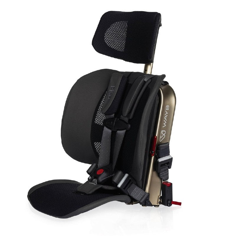 Pico Car Seat Earth