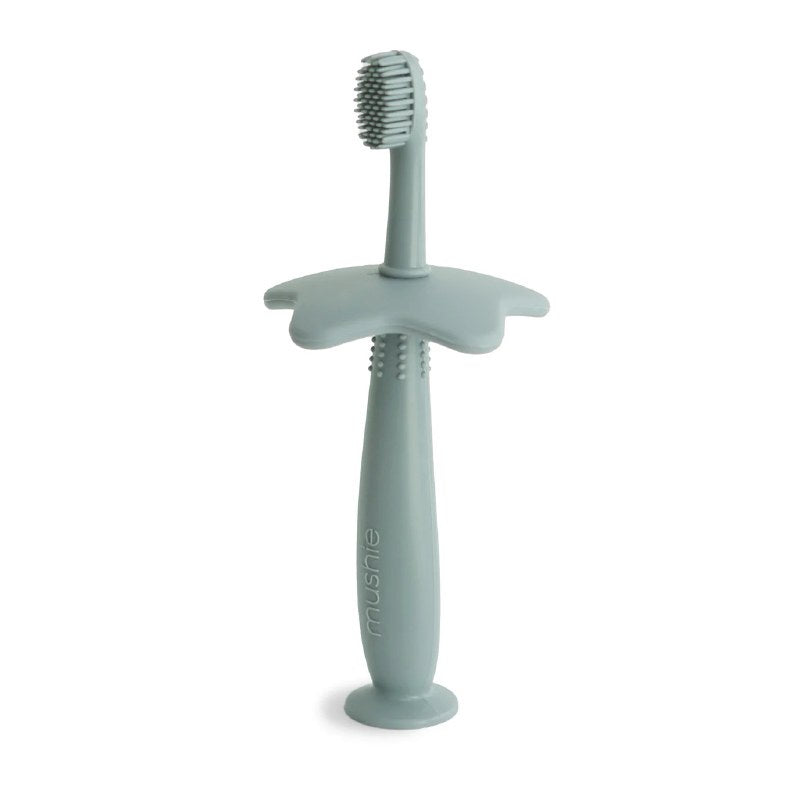 Training Toothbrush Cambridge