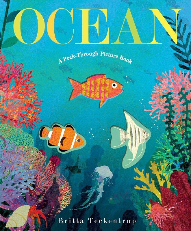 Ocean: A Peek Through Picture