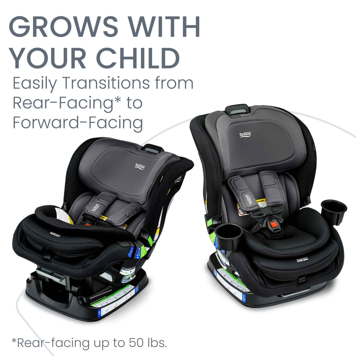 Britax Poplar 2-in-1 Convertible Car Seat with ClickTight