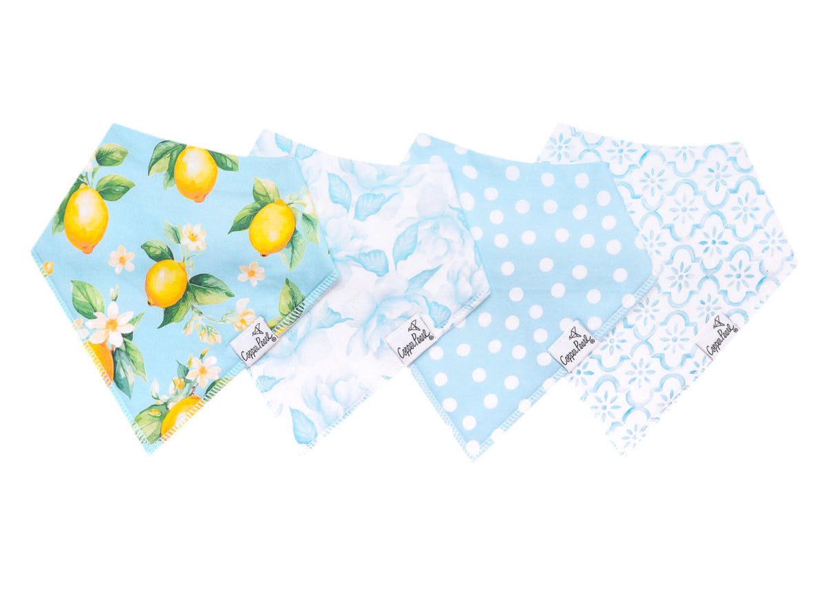 4 Pack Baby Bandana Bibs