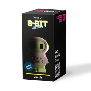 8bit Sixth Member