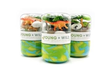 Grab & Go Dough Dino