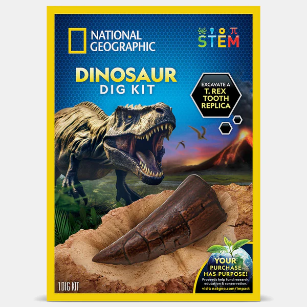 Dinosaur Dig Kit