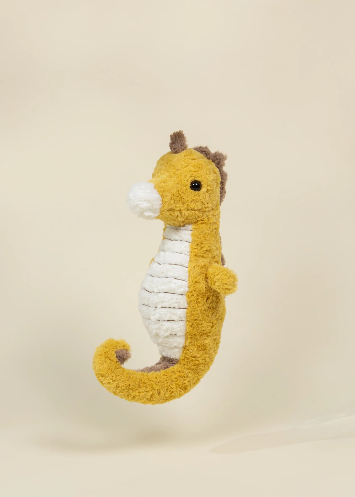 Seahorse