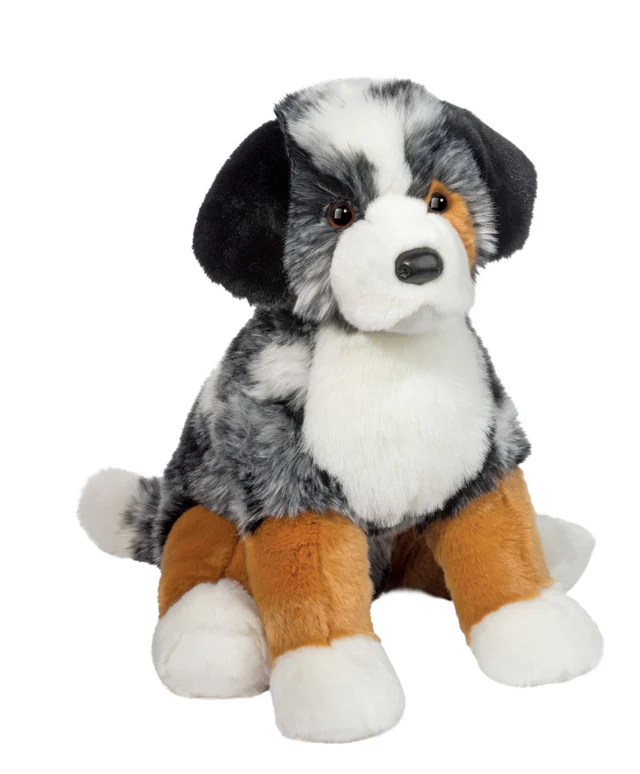 Aspen Australian Shepherd