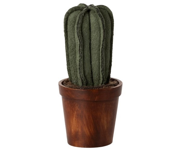 Flower Pot Cactus