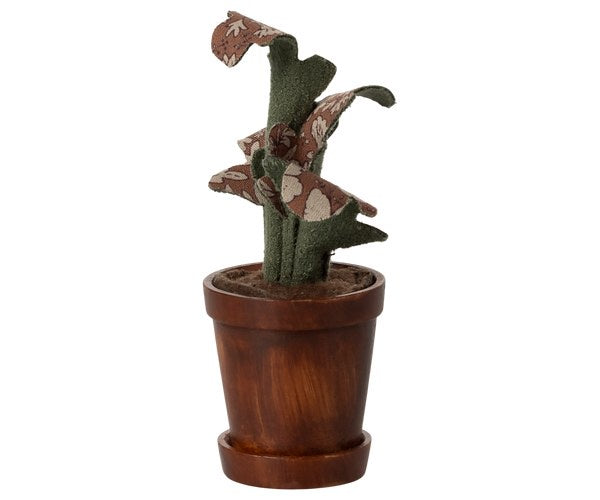 Flower Pot Plant