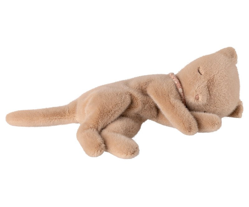 Sleeping Kitten Small Cream Pe
