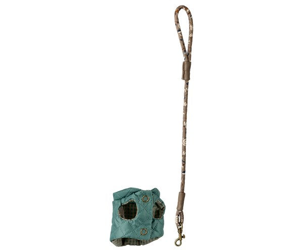 Pet Harness and Leash mint