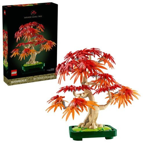 Japanese Red Maple