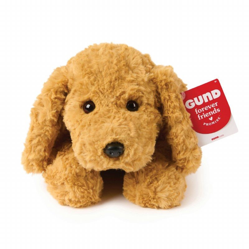 Muttsy Puppy