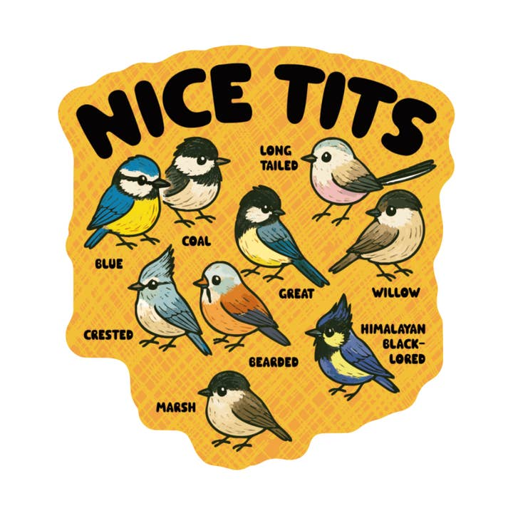 Sassy Bird Funny Pun