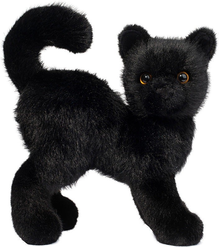Scaredy Black Cat