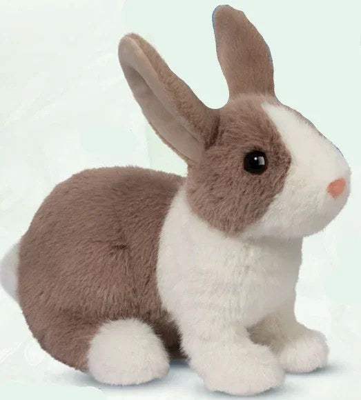 Daffodil Dutch Bunny