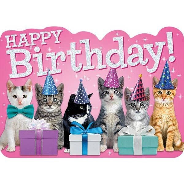 Kitten Foil Card
