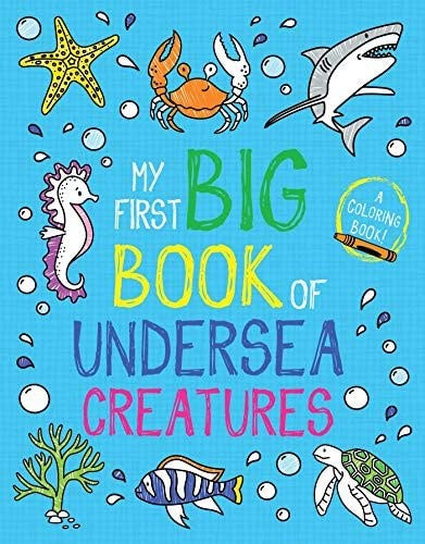My First Big Book of Under Sea