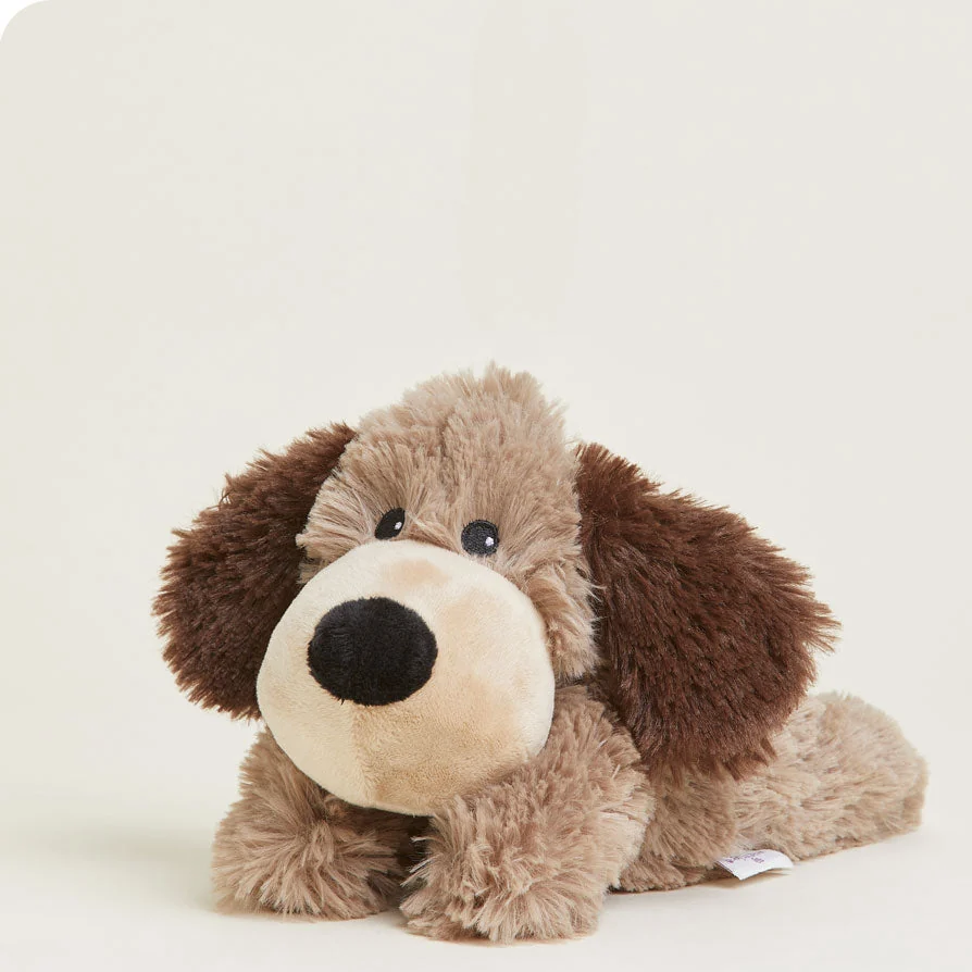 Brown Dog Warmies Junior