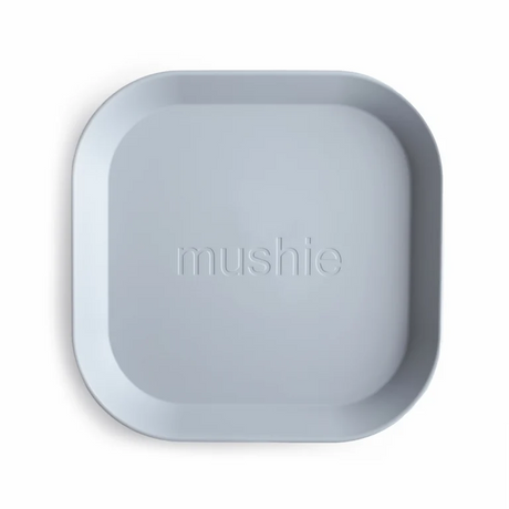 Square Dinnerware Plates, Set of 2