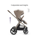 Silver Cross Cove 2 Full-Size All-Terrain Stroller