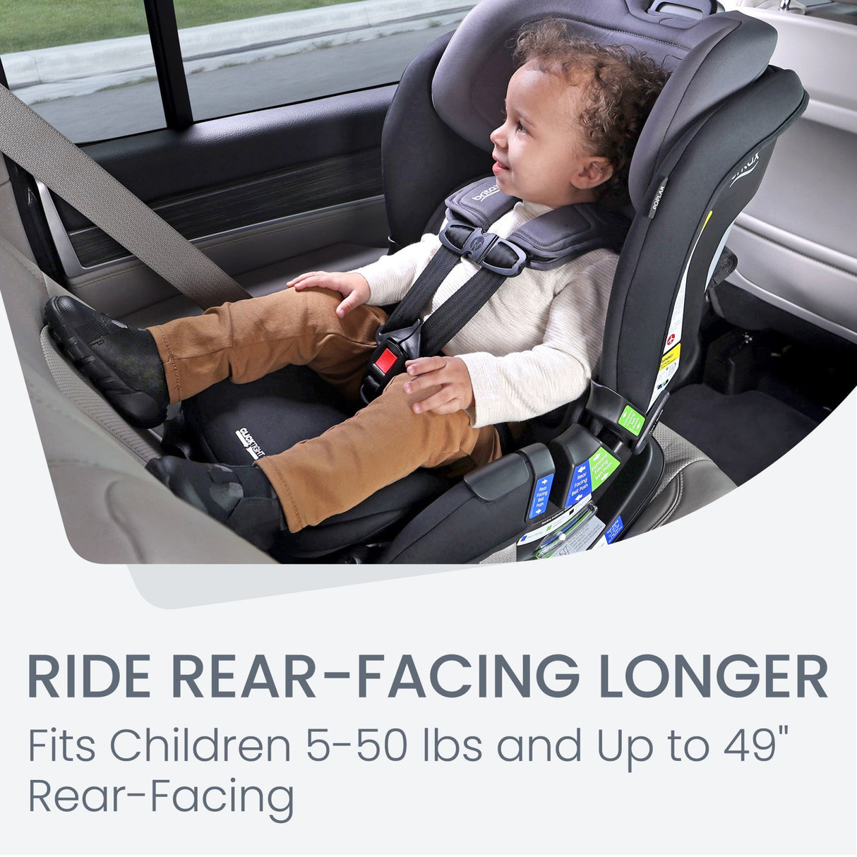 Britax Poplar 2-in-1 Convertible Car Seat with ClickTight