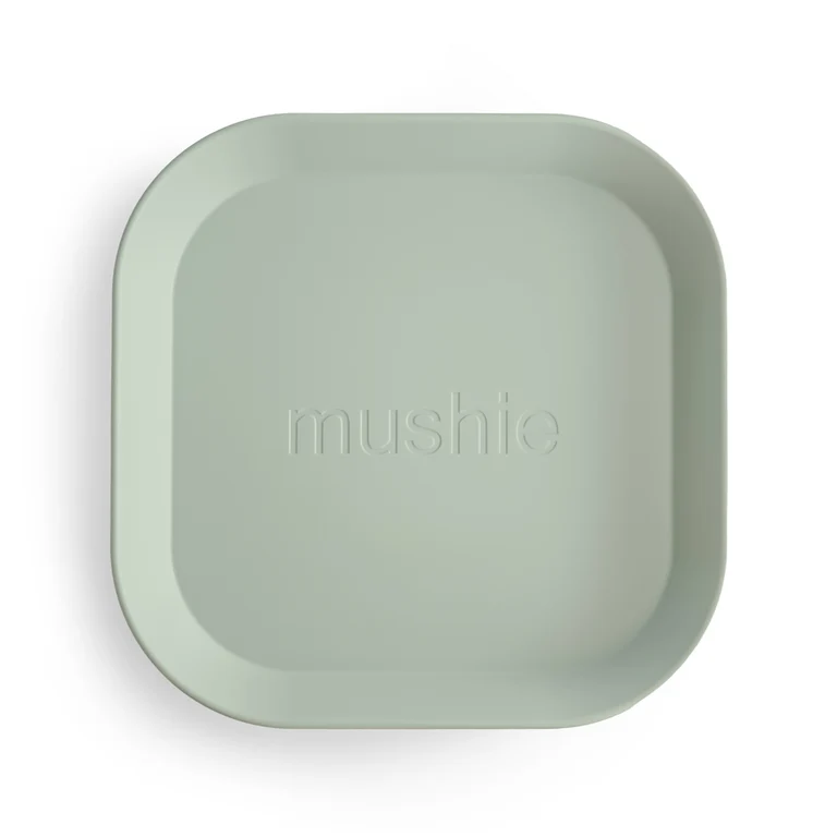 Square Dinnerware Plates, Set of 2
