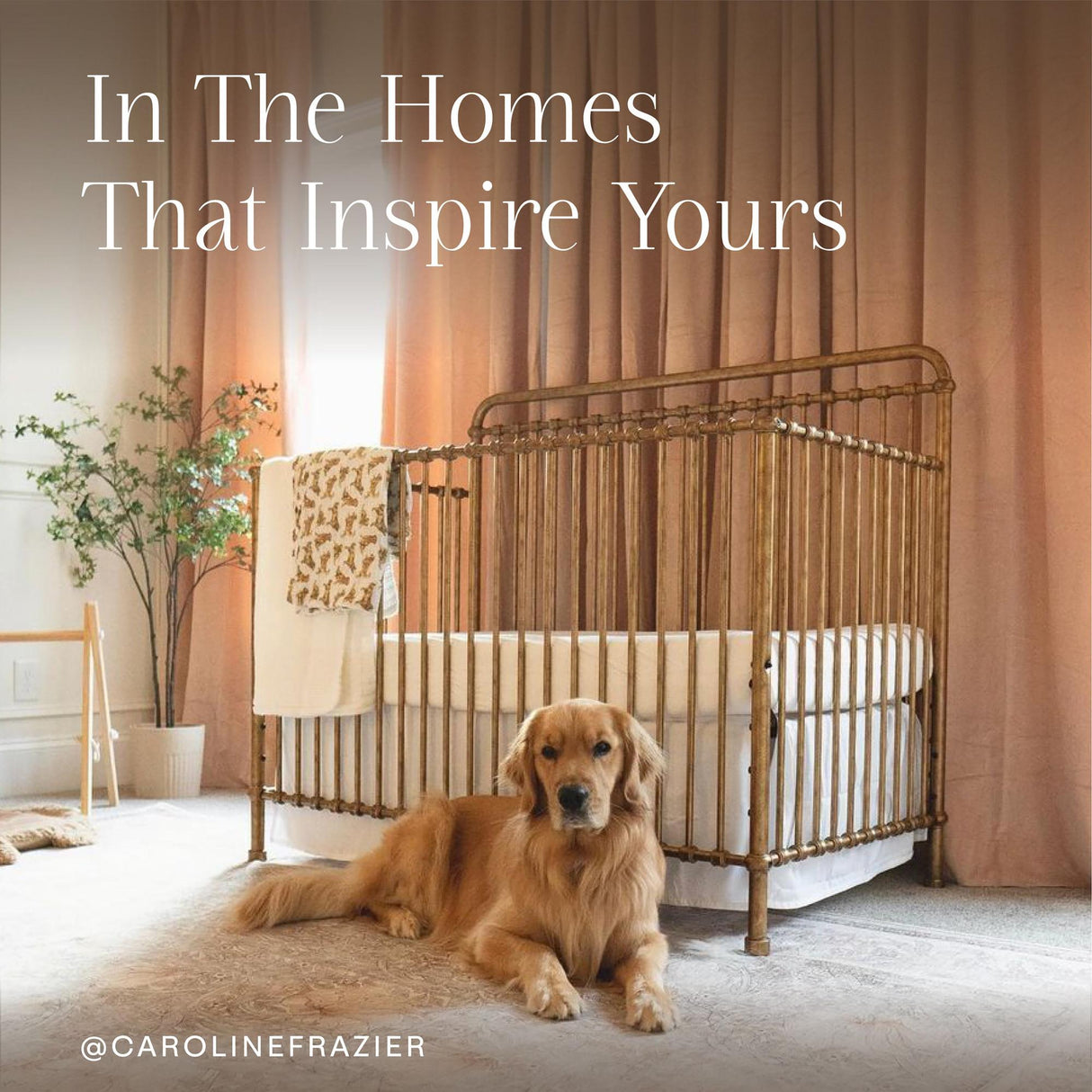 Namesake Winston 4-in-1 Convertible Crib