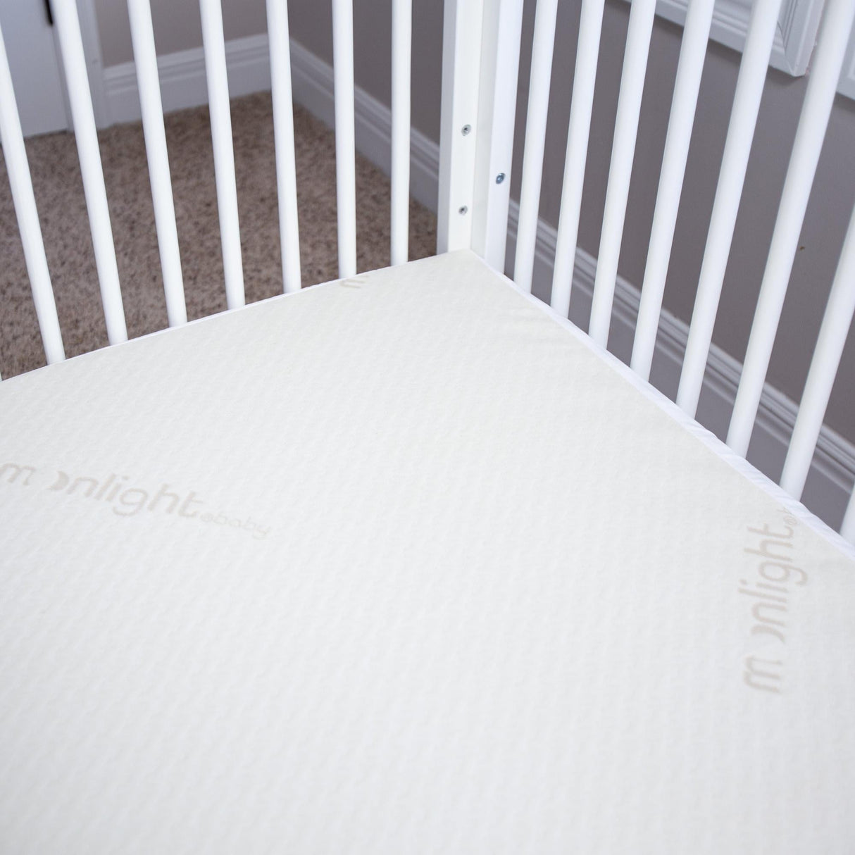 Moonlight Little Dreamer Premium Cotton Waterproof Mattress Cover
