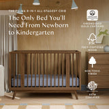 Babyletto Palma 8-in-1 Convertible All-Stages Crib with Bassinet & Toddler Bed Kit